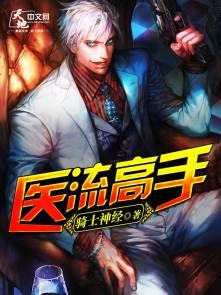医流高手骑士神经