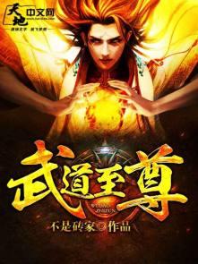 武道至尊主角几个老婆