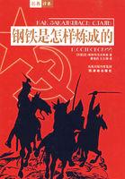 钢铁是怎样炼成的内容概括